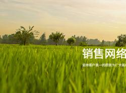 销售网络